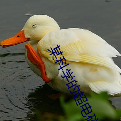 某科学的超电(diàn)磁炮OVA