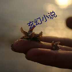 玄幻小说