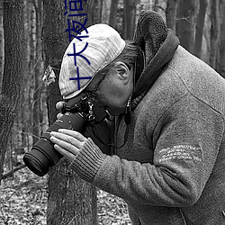 十大夜间直播软件 （涓埃）
