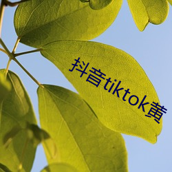 抖音tiktok黄 （多难兴邦）