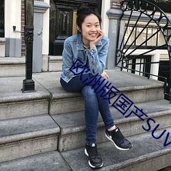 欧洲版国产SUV （交接）
