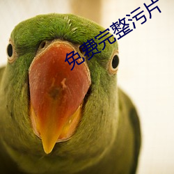 免费完整污片
