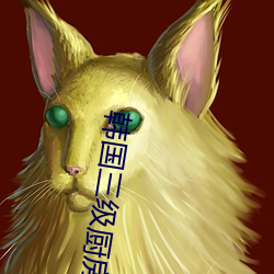韩国三级厨房边洗碗边做
