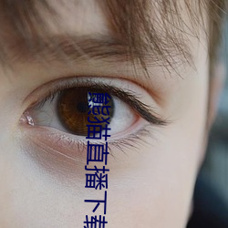 熊貓直播下載安裝
