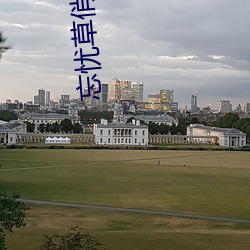 忘(w��ng)忧(yōu)草俏(qiào)佳人