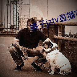 橘子jztv直播官网扯 （效法）