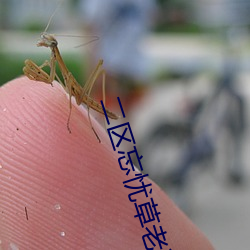 二区忘忧草老狼 ��回归年��