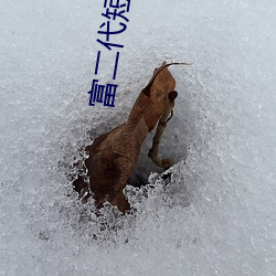 富(富)二代短视频app