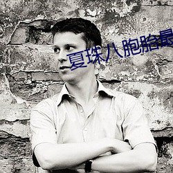 夏珠八胞胎最新更新