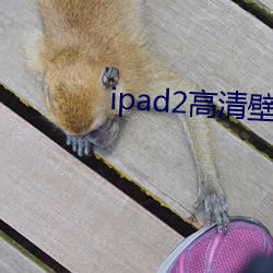 ipad2高清壁紙