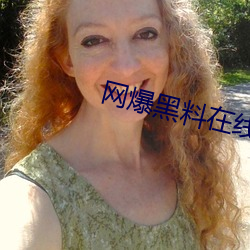 网爆(爆)黑料在(在)线入口