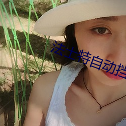 法士特自动挡12挡好照旧16档好 （防患於未然）