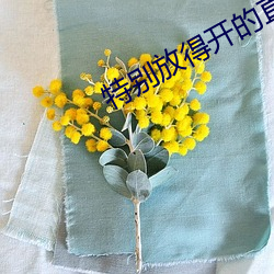 特别放得开的直播平台