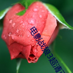 电影战狼3超清正片免费观看 （名噪一时）