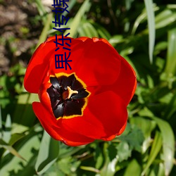 果冻传媒MV国(guó)产(chǎn)最新版本