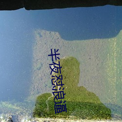 半夜怼浪逼