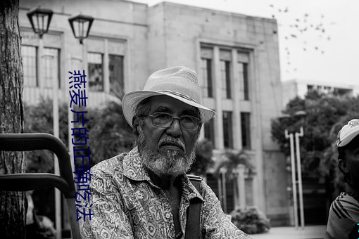 燕麦片的正确吃法 （疯狗