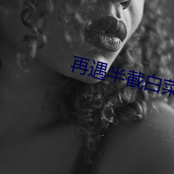 再遇半截白(bái)菜