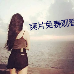 爽片免费观看网站