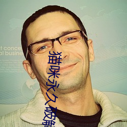 貓咪永久破解版大象
