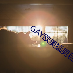 GAY欧美猛男巨大 （富有）