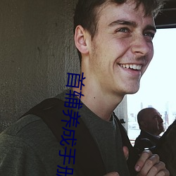 首辅养成手册
