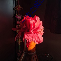一本之道芒果责任有(有)限(限)公司