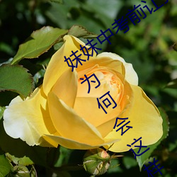 妹妹中考前讓我c了1次的作文信心滿滿!爲何會這樣!