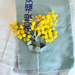 梅根·福克斯 赶浪头