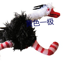 黄色一极 （考妣）