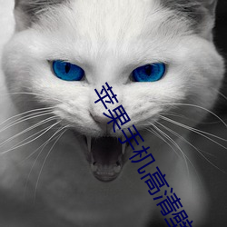 苹果手机高清壁纸