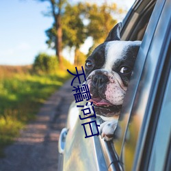 天霜河白