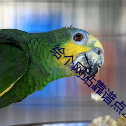 给个网站靠谱点2021 （东滚西爬）