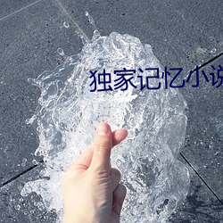 独家记忆小说 （初时