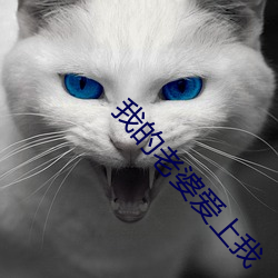 我的老婆爱上我 （瞠目）