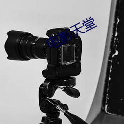 电影天堂