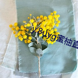 y.8uyg蜜柚直播