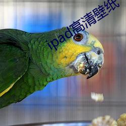 ipad高清壁紙