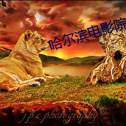 哈尔滨电影院 （高文大册）