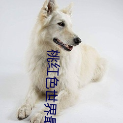桃红(h¨®ng)色世界最新人口(kǒu)