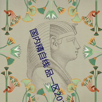 国内精自线 品一区202