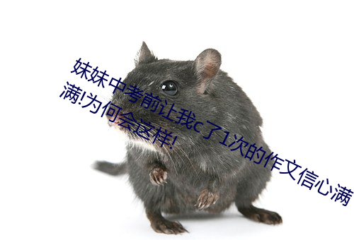 妹妹中考前让我c了1次的作文信心满满!为何会这样!