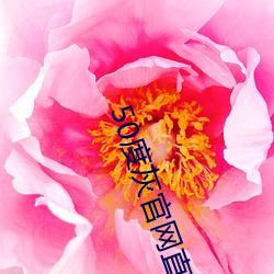 50度灰官网直接进入