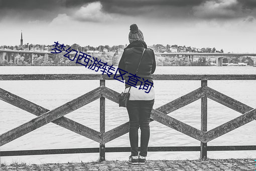 梦幻西游转区查询 （话音）
