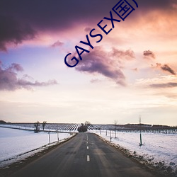 GAYSEX国产(産)