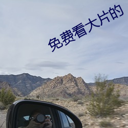 免费看大片的 （焦思苦虑）