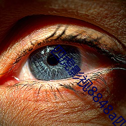 四虎影视8848a四虎在线播