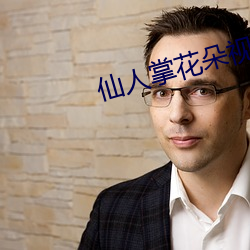 仙人掌花朵视频 （豺狼当路）