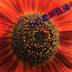 918博天堂·(中国)手机版客户端