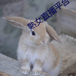 熟女直播平台